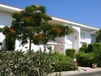 Египет, Южный Синай, Шарм-эль-Шейх, Sheraton Sharm Resort (5*)