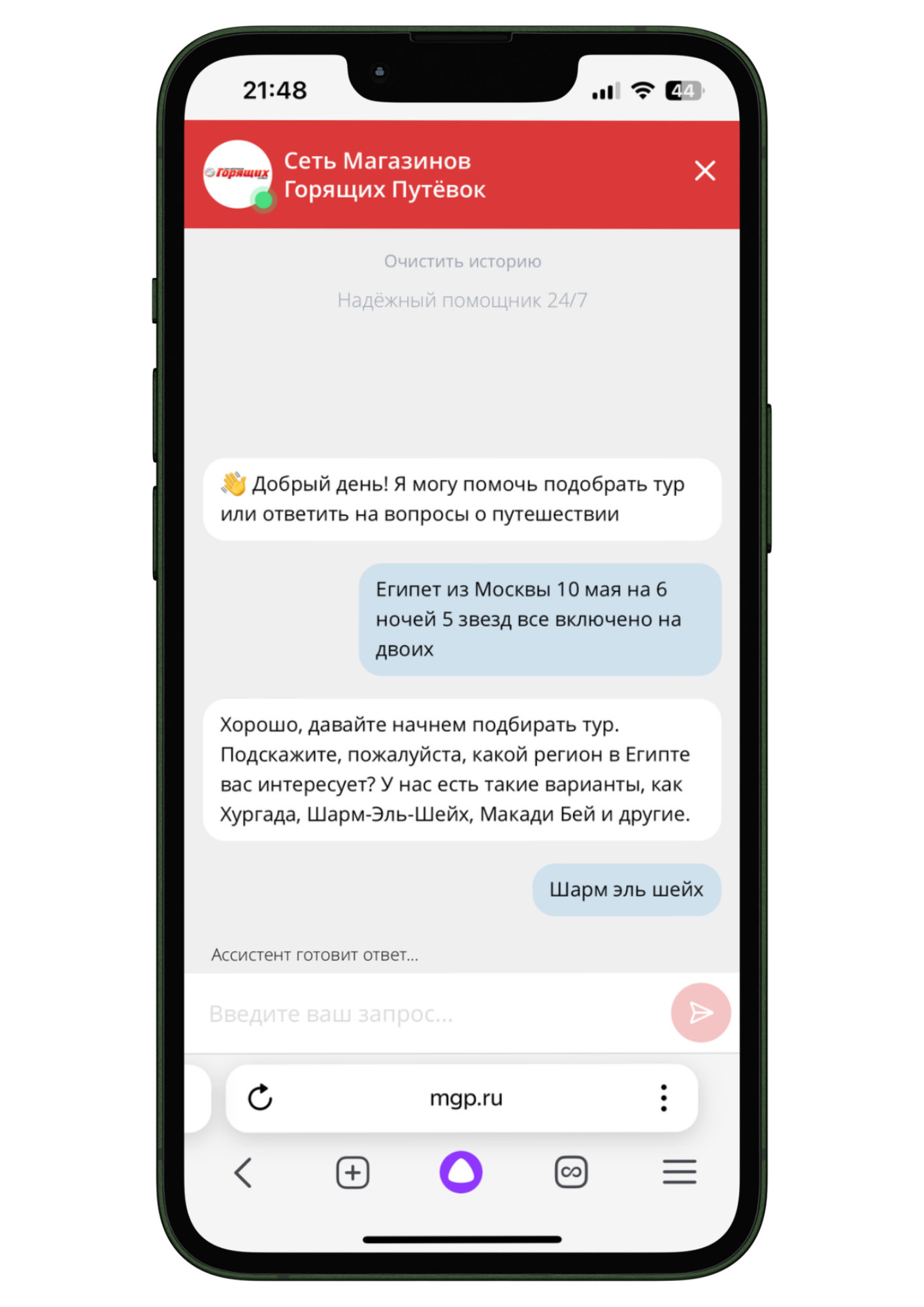 чат на сайте mgp.ru